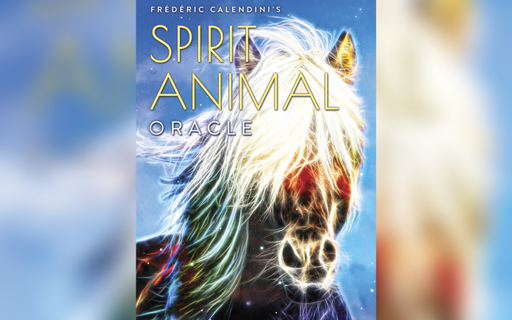 Enter a Journey of Self-Discovery and Awareness  with the Spirit Animal Oracle