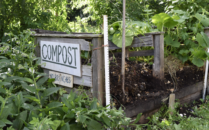 Waste Not, Want Not: Compost Happens!